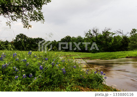 Stream, Bluebonnet Park, Ennis, Texas 133880116