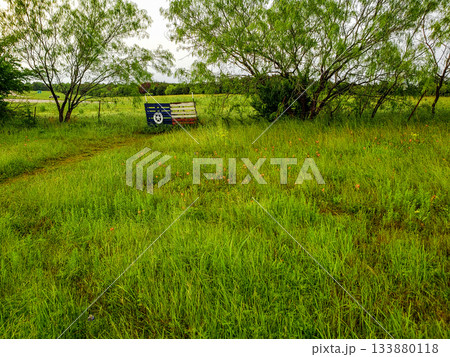 Texas Sign, Bluebonnet Park, Ennis, Texas 133880118
