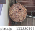 雀蜂の巣・スズメバチ 133880394