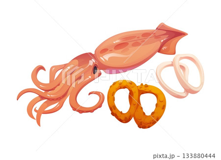 Squid seafood or calamari food cooking and preparation process, isolated vector icon. Fresh squid and deep fried calamari rings for seafood processing or preparation and meal cooking Squid seafood or calamari food cooking and preparation process, isolated vector icon. Fresh squid and deep fried calamari rings for seafood processing or preparation and meal cooking 133880444