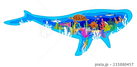 Paper cut whale silhouette with underwater landscape, sea animals and fishes, cartoon vector. Turtle with flounder and tuna, clownfish and coral reef seaweeds in paper cut underwater landscape 133880457