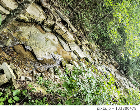 Tributary of Roark Creek, Branson, Missouri Tributary of Roark Creek, Branson, Missouri 133880479