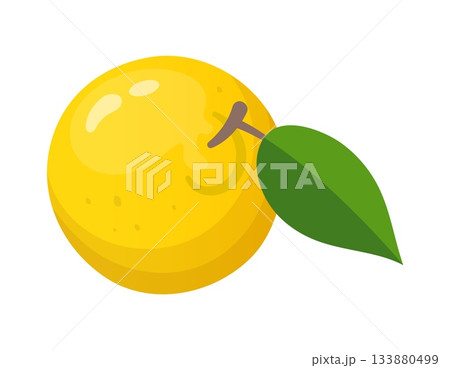 Cartoon lemon for citrus lemonade or fruit juice drink, vector icon. Raw ripe whole lemon with leaf for citrus soda or lemon flavor cocktail and vitamin C beverage Cartoon lemon for citrus lemonade or fruit juice drink, vector icon. Raw ripe whole lemon with leaf for citrus soda or lemon flavor cocktail and vitamin C beverage 133880499
