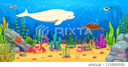 Beluga white whale and fish on game underwater landscape, cartoon vector background. Sea or ocean adventure game underwater landscape of coral reef fishes, turtle and funny crab character in seaweeds 133880500
