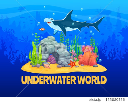 Underwater sealife landscape of undersea world, cartoon vector poster. Sea and ocean underwater world of aquarium or oceanarium with hammerhead shark fish, coral reef tropical clownfish and starfish 133880536