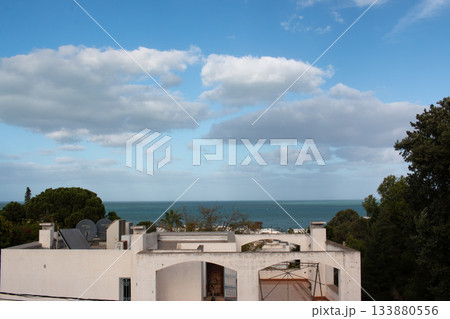 北アフリカの国チュニジアの首都チュニスの海のある風景 133880556