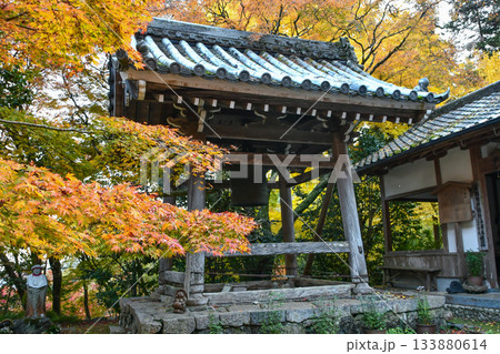京都 秋の金蔵寺 Konzoji Temple in Autumn (Kyoto, Japan)	 133880614