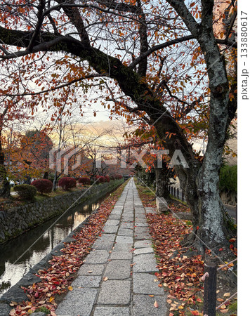 京都の秋 哲学の道 Autumn in Kyoto, Tetsugaku-no-michi 京都の秋 哲学の道 Autumn in Kyoto, Tetsugaku-no-michi 133880617