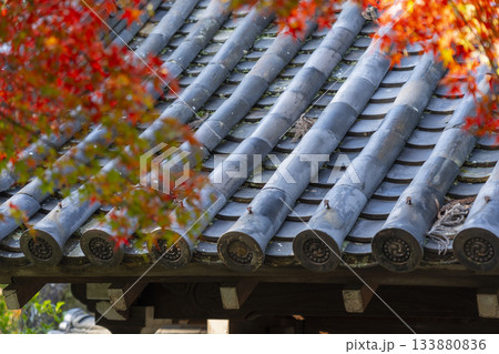 京都 安養寺 山門と紅葉 京都 安養寺 山門と紅葉 133880836