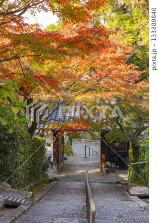 京都 安養寺 山門と紅葉 京都 安養寺 山門と紅葉 133880840