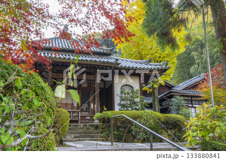京都 安養寺 本堂と紅葉 京都 安養寺 本堂と紅葉 133880841