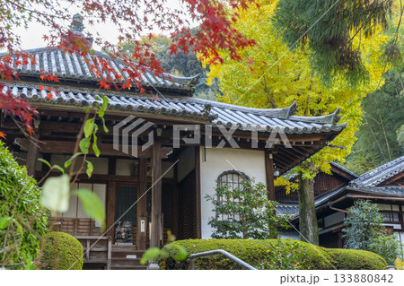 京都　安養寺　本堂と紅葉 133880842