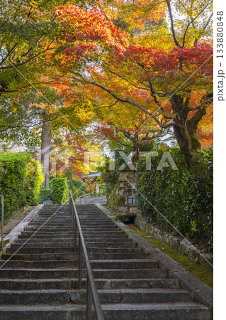 京都 安養寺 石段と紅葉 京都 安養寺 石段と紅葉 133880848