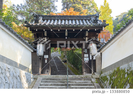 京都　安養寺　山門と紅葉 133880850