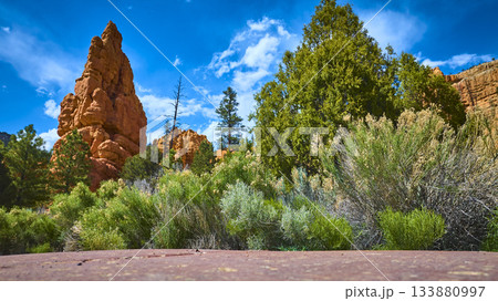 Red Rock Hoodoo Formation With Desert Vegetation and Blue Sky Ground Level 133880997