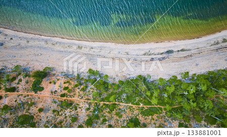 Aerial Vibrant Lake Shoreline and Forest Edge Top Down View Aerial Vibrant Lake Shoreline and Forest Edge Top Down View 133881001