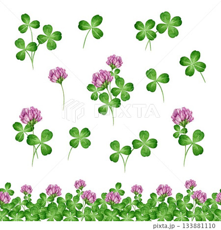 Red clover medicanal plant watercolor illustration set. Hand drawn Trifolium pratense wildflower herb flowers, leaves, seamless border decor element on white background Red clover medicanal plant watercolor illustration set. Hand drawn Trifolium pratense wildflower herb flowers, leaves, seamless border decor element on white background 133881110