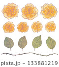 手描きイラスト・少女漫画風の黄色の薔薇と葉っぱセット 133881219