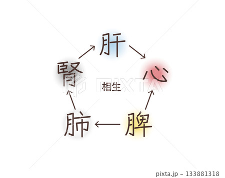 東洋医学の五臓の関係（相生） 133881318