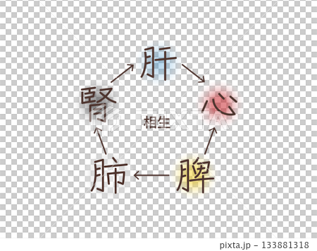 東洋医学の五臓の関係（相生） 133881318