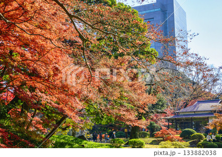 東京都 小石川後楽園 涵徳亭(かんとくてい)付近 紅葉の風景 国の特別史跡 東京都 小石川後楽園 涵徳亭(かんとくてい)付近 紅葉の風景 国の特別史跡 133882038