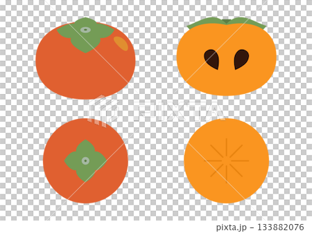 Persimmon and cross section illustration 133882076