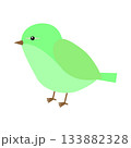 シンプルでかわいい鶯のイラスト素材 133882328