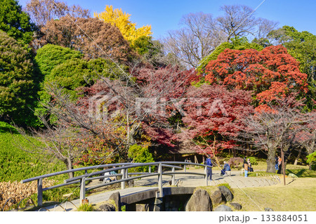 東京都 小石川後楽園 大泉水 丸屋付近 紅葉の風景 国の特別史跡 東京都 小石川後楽園 大泉水 丸屋付近 紅葉の風景 国の特別史跡 133884051