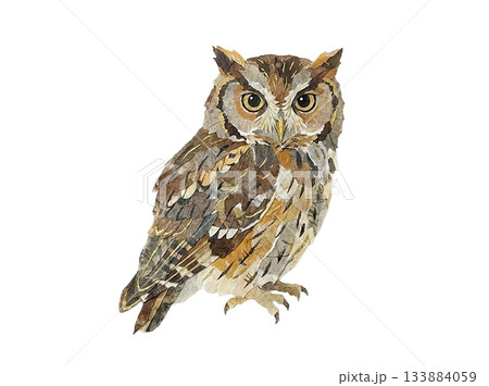 和紙の切り絵で表現したコノハズクのイラスト 133884059