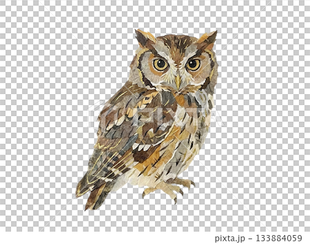 和紙の切り絵で表現したコノハズクのイラスト 133884059