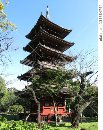 台東区の上野動物園にある旧寛永寺五重塔 133884744