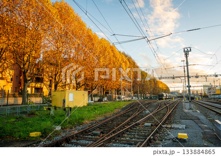 夕暮れ時の線路と秋の木々。バーゼル工業港エリア・シュタット州, スイス 133884865