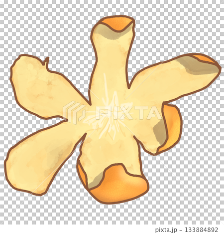 Mandarin orange peel 133884892