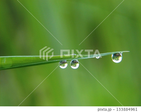 水滴 水滴 133884961