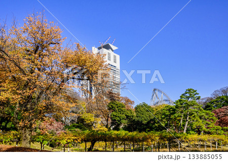 東京都 小石川後楽園 花菖蒲田付近から 紅葉の風景 国の特別史跡 東京都 小石川後楽園 花菖蒲田付近から 紅葉の風景 国の特別史跡 133885055