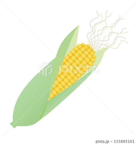 とうもろこし　炭水化物の多い野菜 133885101