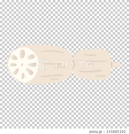 蓮根のイラスト　炭水化物の多い野菜 133885102