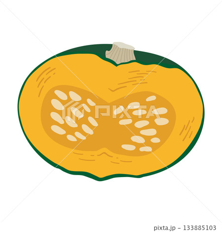 かぼちゃのイラスト　炭水化物の多い野菜 133885103