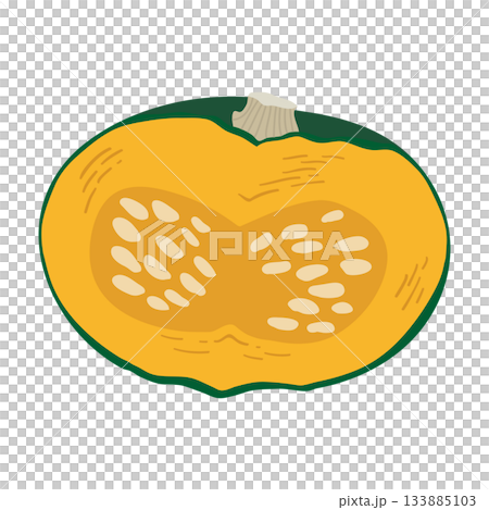 かぼちゃのイラスト　炭水化物の多い野菜 133885103