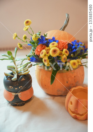 ハロウィンのかぼちゃと小さなカボチャ ハロウィンのかぼちゃと小さなカボチャ 133885480
