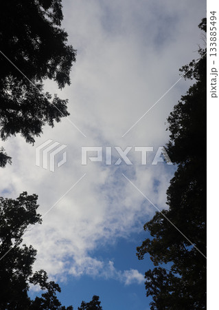 青い空と木々の緑 青い空と木々の緑 133885494