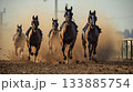 競走馬 133885754