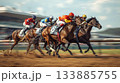 競馬 133885755