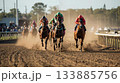 競馬 133885756