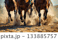 競馬 133885757