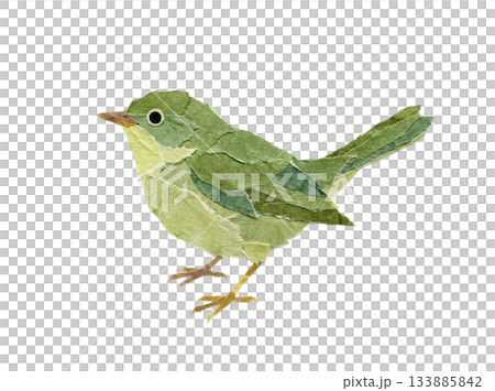 和紙の切り絵で表現したうぐいすのイラスト 133885842