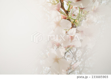 various 133885903