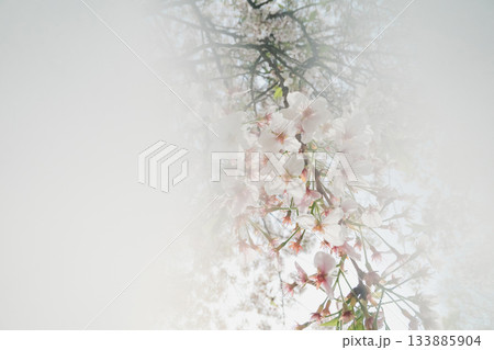 various 133885904