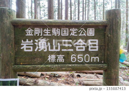 岩湧山三合目へ向かう登山道（金剛生駒紀泉国定公園） 133887413