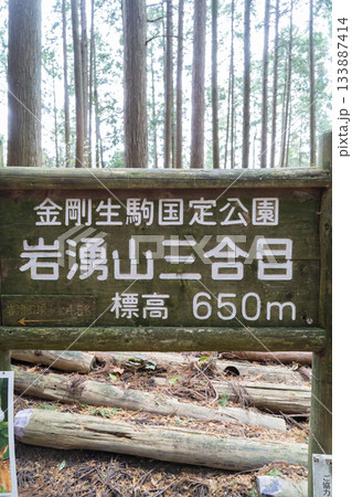 岩湧山三合目へ向かう登山道（金剛生駒紀泉国定公園） 133887414